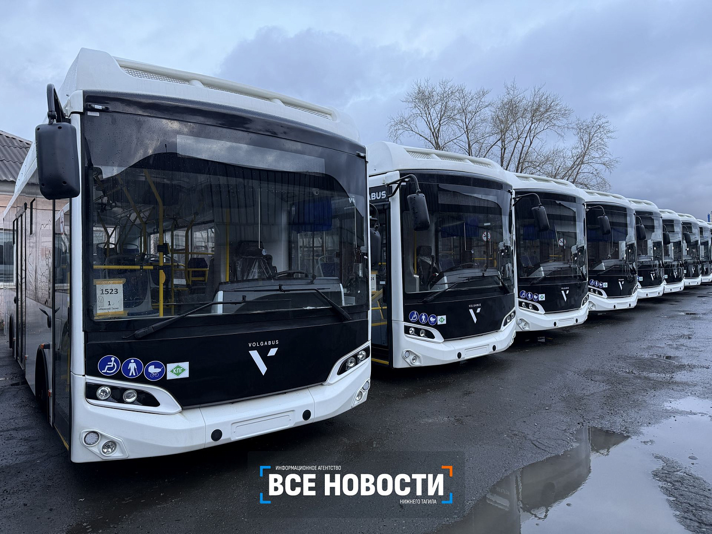В Нижний Тагил прибыли 30 новых автобусов «Волгабас».