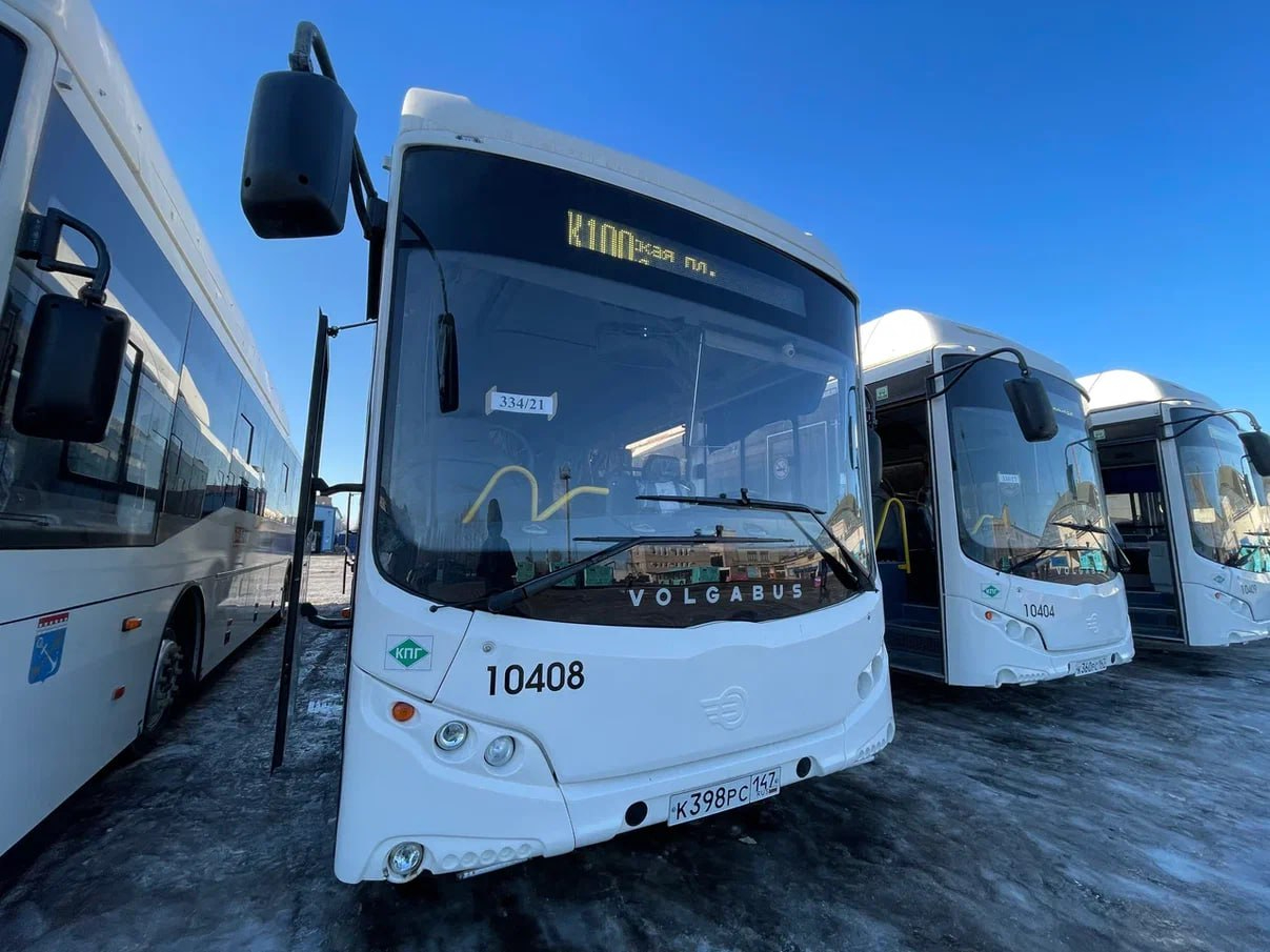 Междугородные автобусы «Волгабас» прибыли в Ленинградскую область.