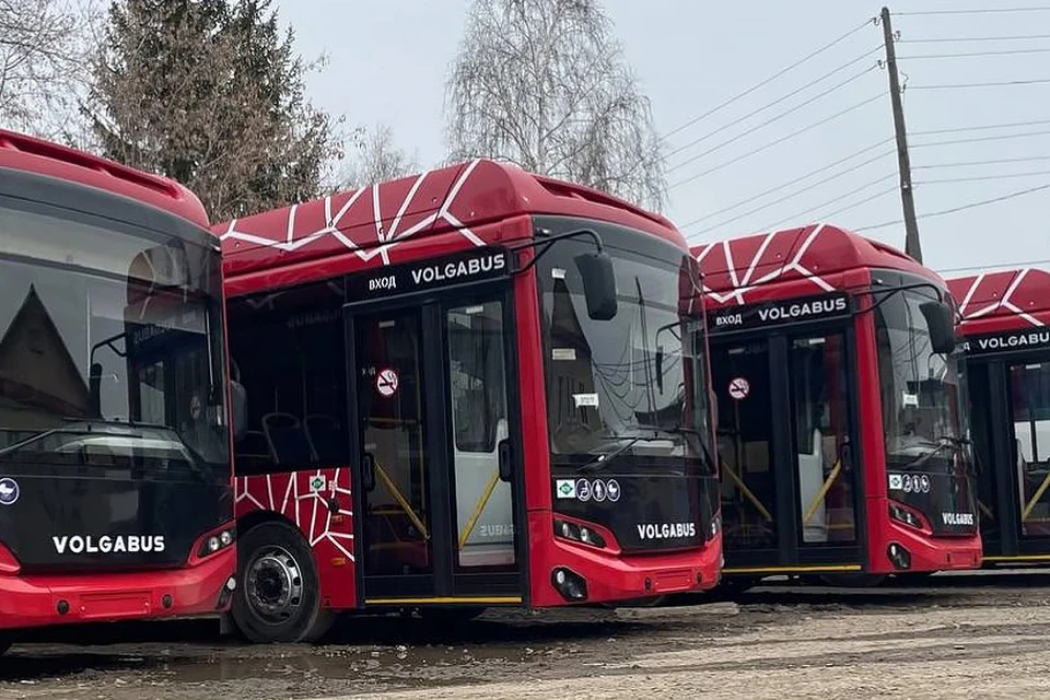 В Пермь прибыли семь новых автобусов «Волгабас».