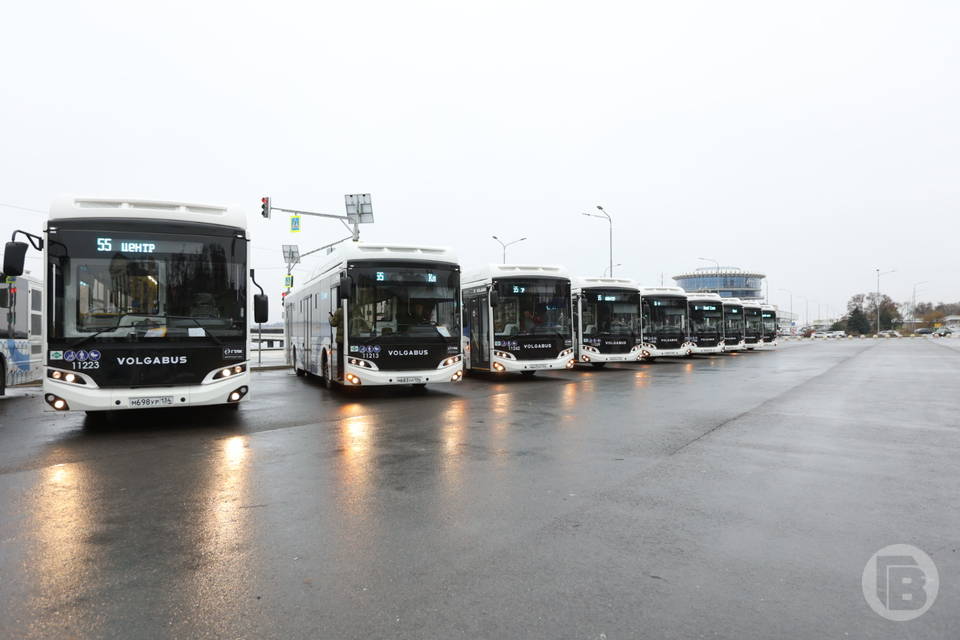 На маршруты Волгограда выходят еще 25 новых городских автобусов «Волгабас»